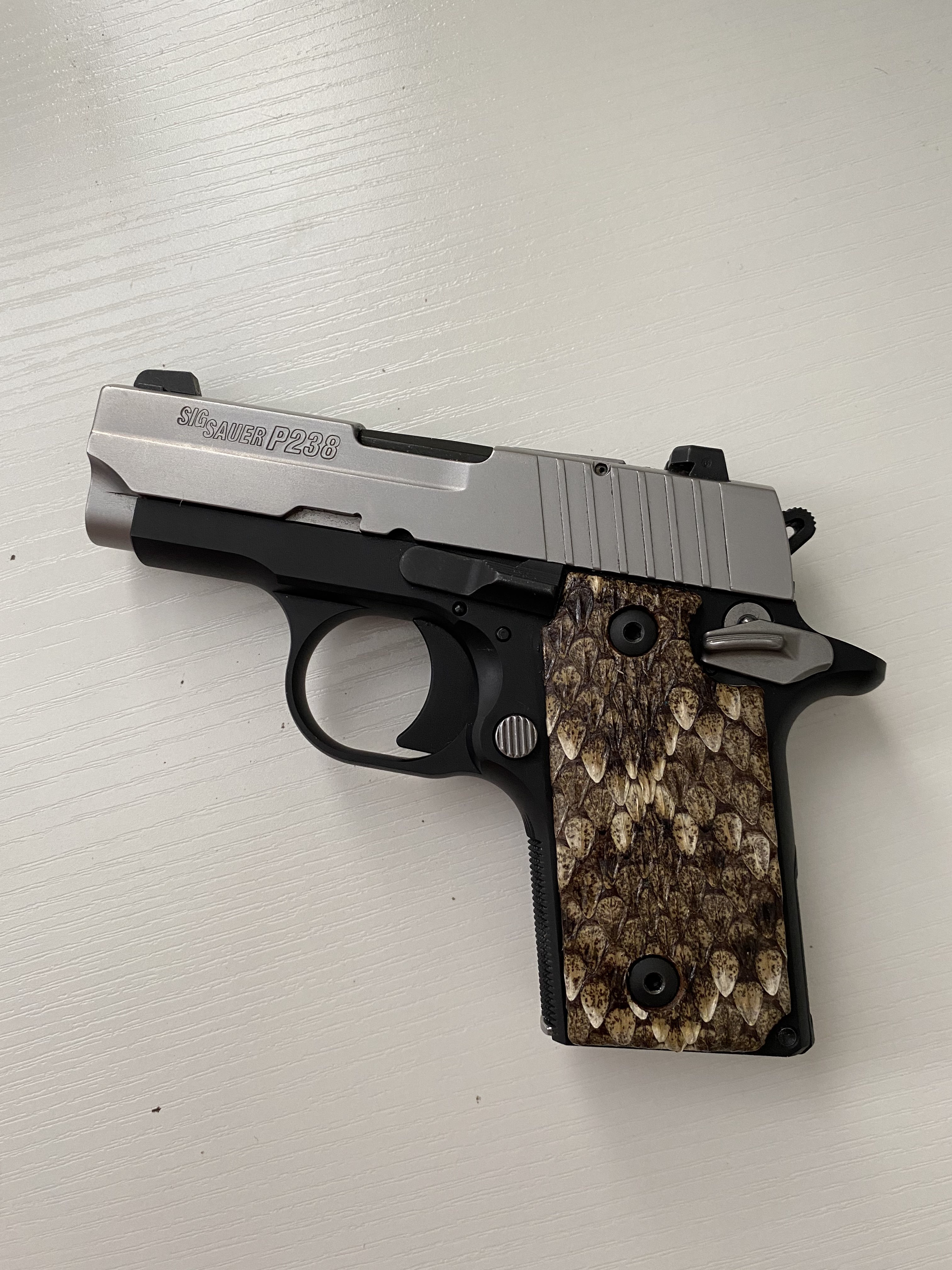 p238 snakeskin 1.jpg