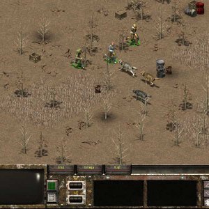 Desert battle with dogs