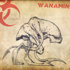 Wanamingo Concept