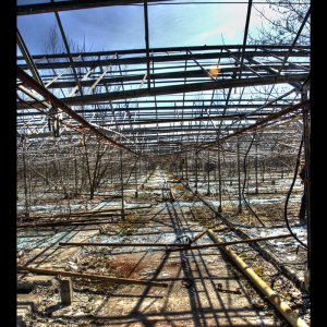 Greenhouses I