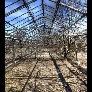 Greenhouses V