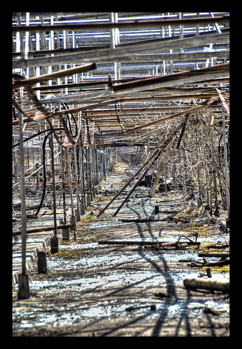 Greenhouses II