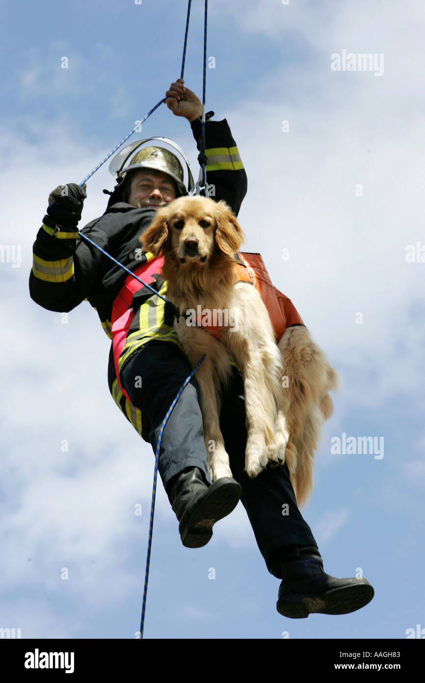 rescue-dogs-of-the-fire-service-in-germany-AAGH83.jpg